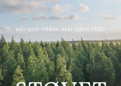 støvet